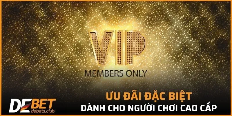 Đa dạng ưu đãi dành riêng cho người chơi VIP