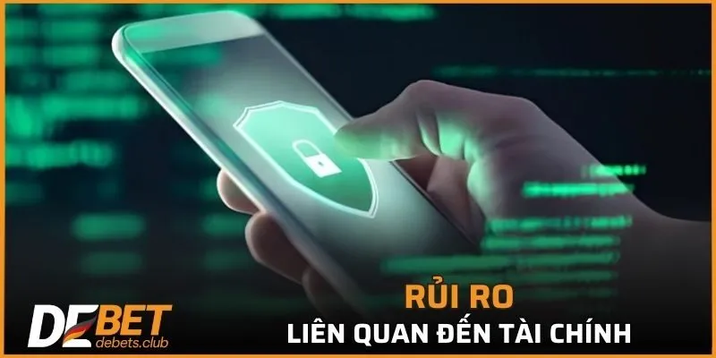 Rủi ro liên quan đến tài chính